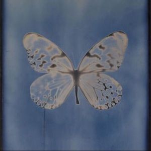 Meet your Posher, Judi